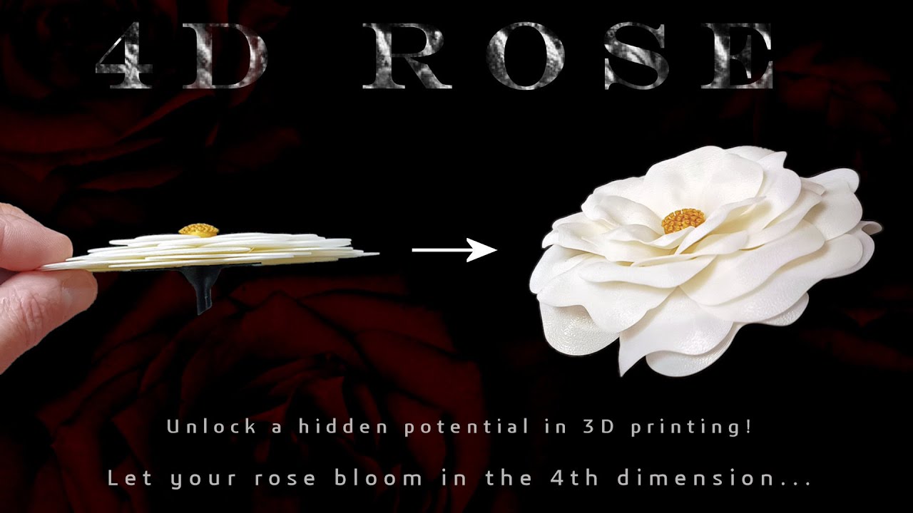4D printing of a Rose YouTube