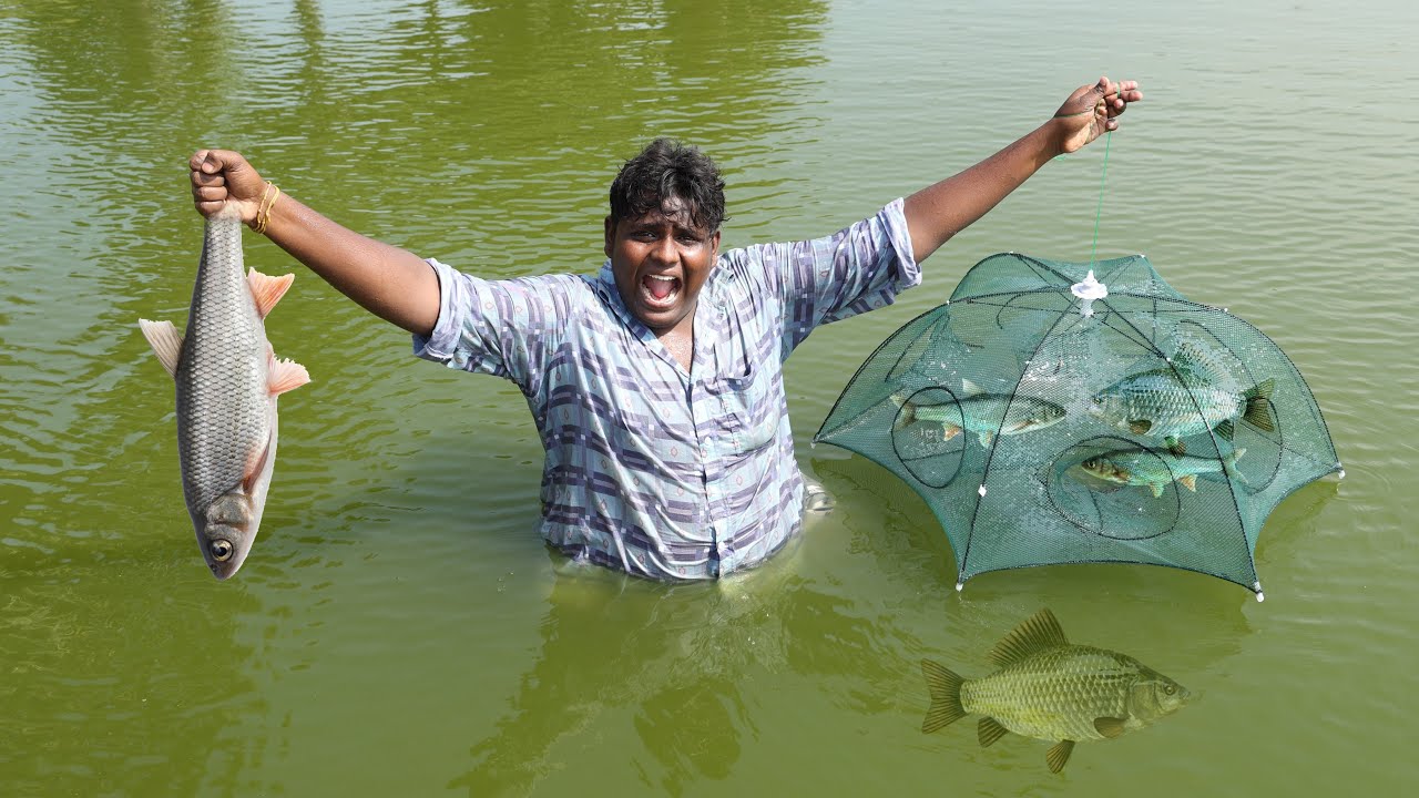 Fish Trap வச்சு மீன் பிடிக்கலாம்Fish Catching with Amazing Fish Trap