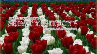 Studio Avsar Adem Baba