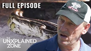 Celebrity Florida’s GIANT Python Menace! (S1, E1) | Swamp Mysteries with Troy Landry | Full Episode Wealth