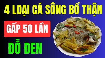 Người Thận Yếu: 4 Loại Cá Sông Bổ Thận Gấp 50 Lần Đỗ Đen – Hết Tiểu Đêm, Sống Thọ