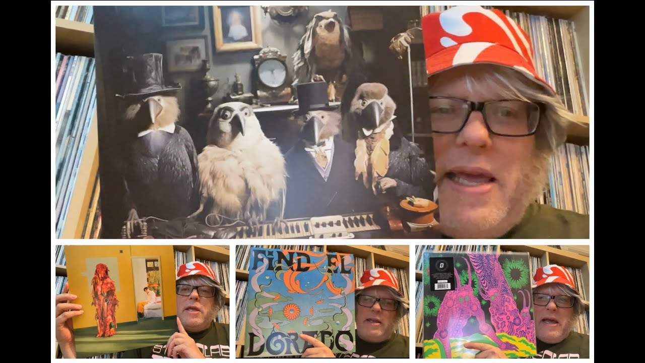 NEWBIES! 4 New Release Recommendations from August 25!