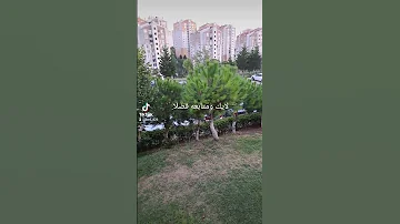 الله الله مالنا مولى سوى الله 