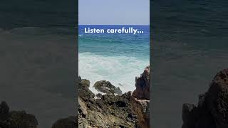 Can You Guess This Nature Sound?