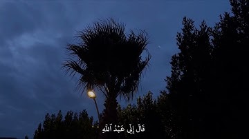 قال اني عبدالله | القارئ: شريف مصطفى