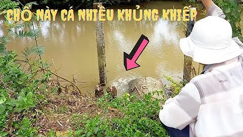 Câu Cá Đụng Bầy Phi Tụ Về Ngay Miệng Cống Đông Khủng Khiếp Giật Xịt Khói Luôn