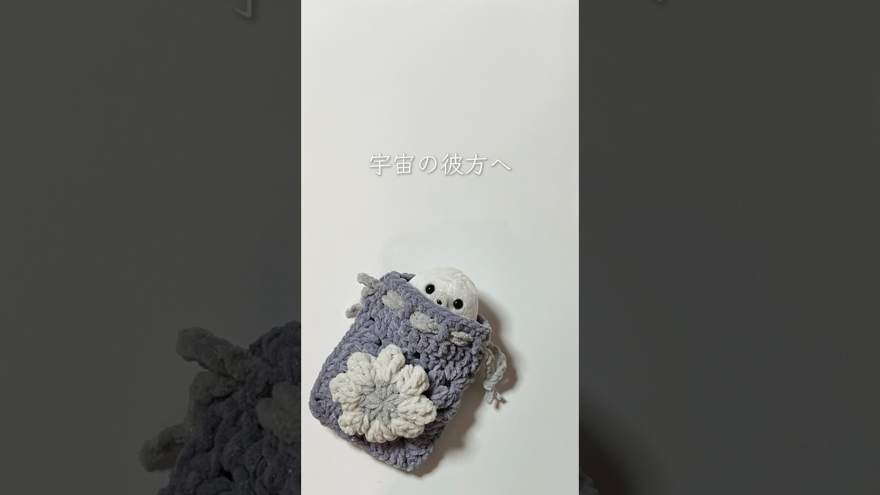 あざらしの行く先 #ぬいぐるみ #ハンドメイド #毛糸 #crochet