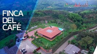 FINCA DEL CAFE / Visualbit