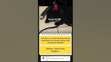 Iki Baby Micky Mouse🐭🐀#shorts #short #shortvideo #trending #trendingshorts #viral #viralvideo #video