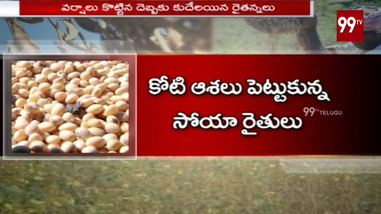 Special Focus on Soybean Farmers Facing Problems Adilabad District