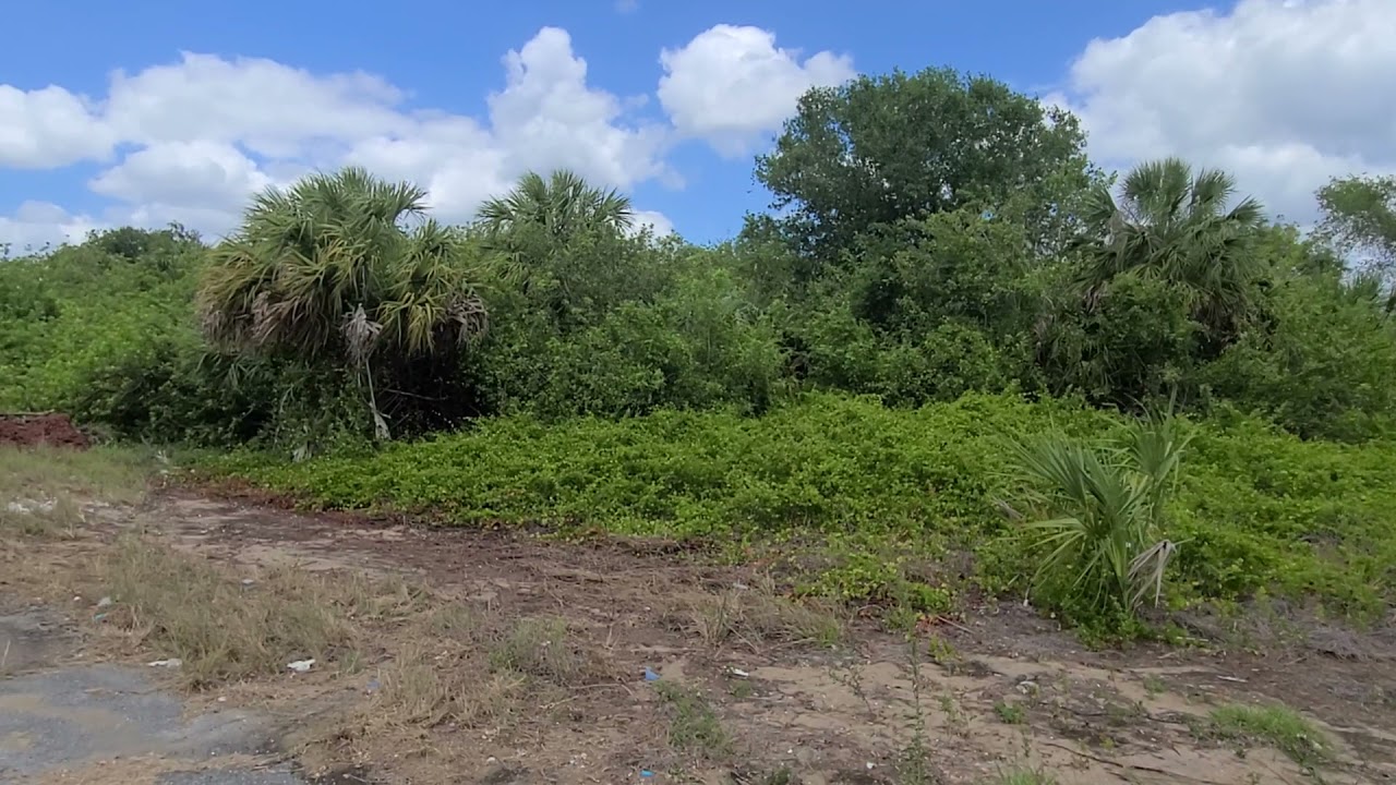 SOLD - 0.4 Acres – With City Water & Paved Road! In North Port, Sarasota County FL