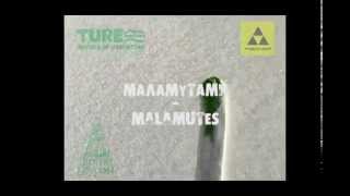 Carpathians skitour with malametes // TURE TEAM