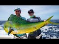 Deep Sea Fishing in Miami (Dolphin, Wahoo, Amberjacks, and Tripletail)