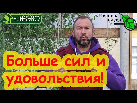 Главный овощ для взрослых! Обезболивает, оздоравливает, омолаживает, лечит зрение и дарит настроение