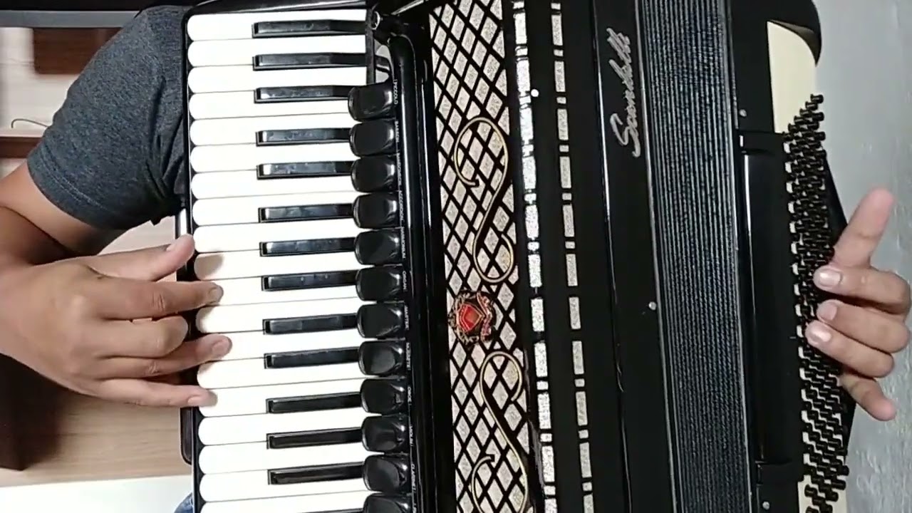 Vídeo Aula Acordeon 