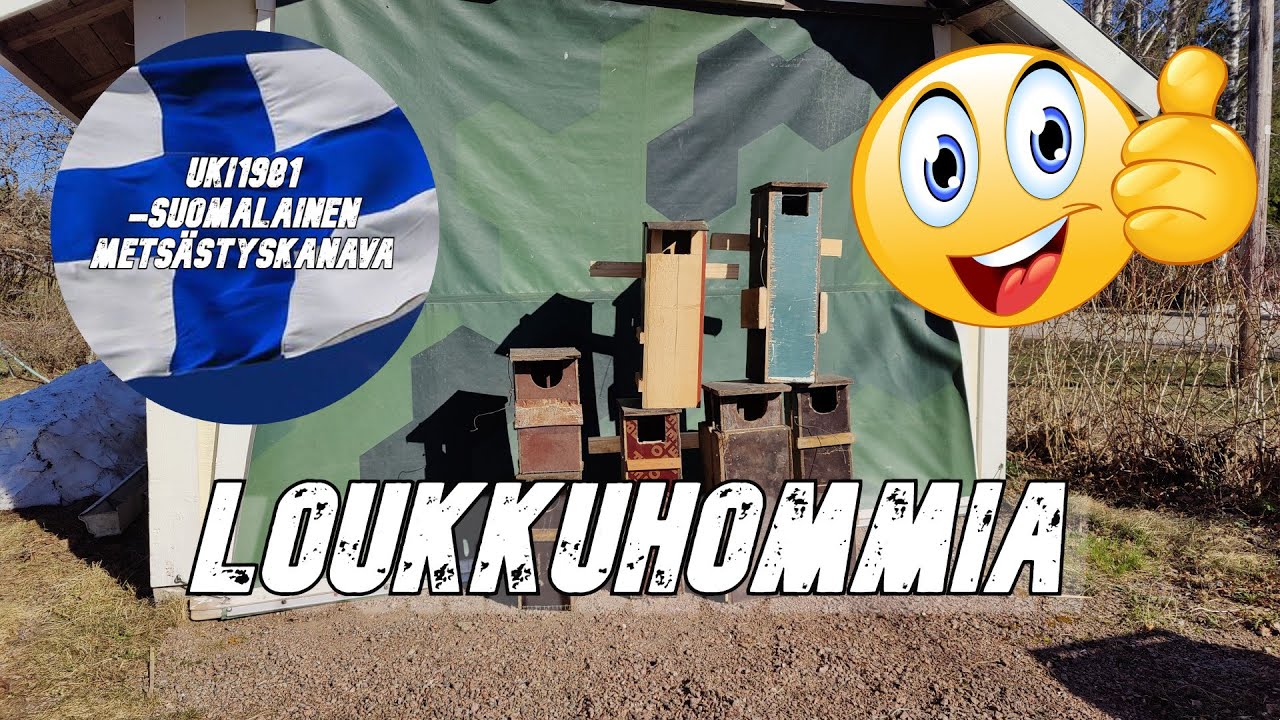 Näätäloukkujen modaus - Näätäpyynti. 4K