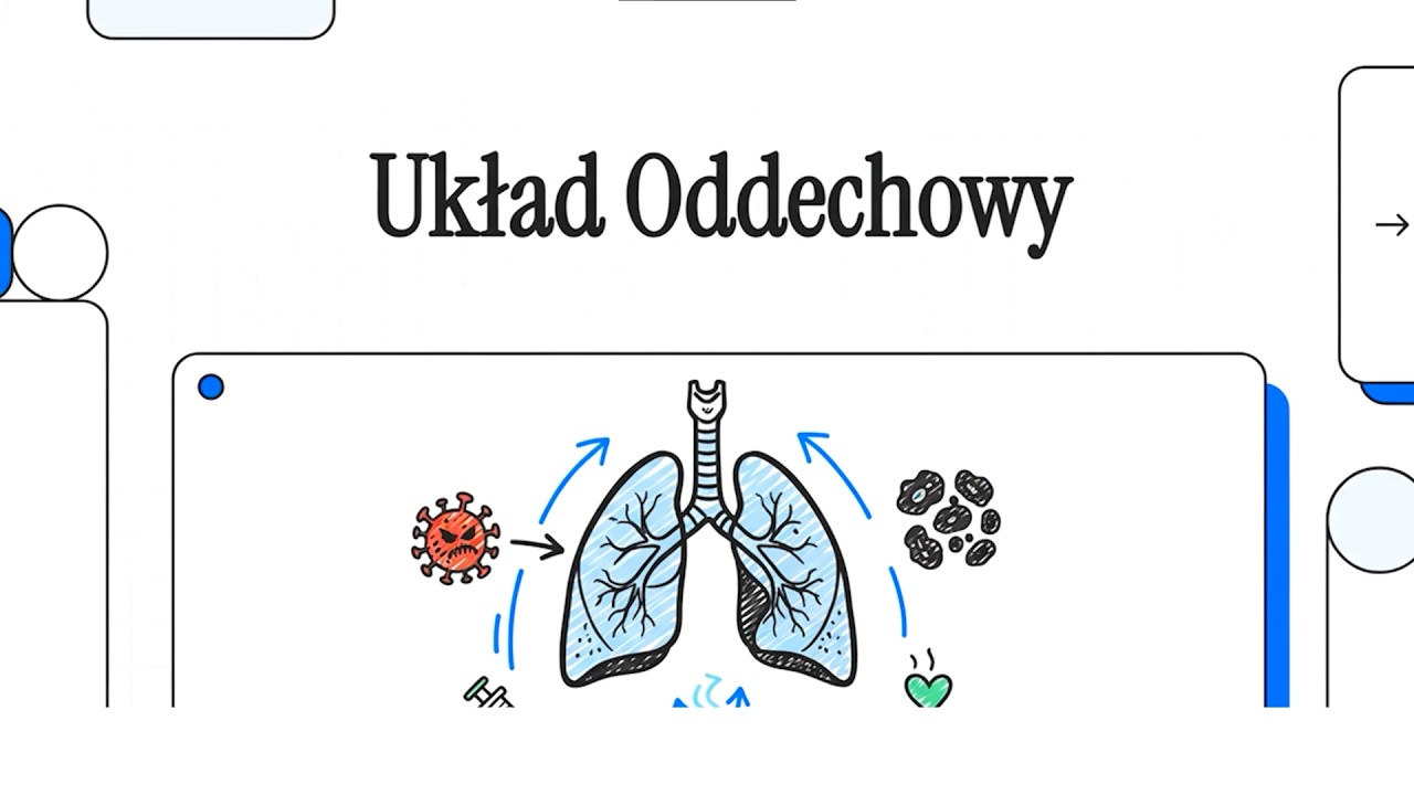 Student Pielęgniarstwa - Układ Oddechowy | Interna