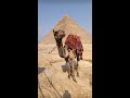 Pyramids of giza  shorts travel egypt pyramids