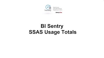 BI Sentry SSAS Usage Totals