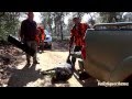 Battue de sanglier au domaine de la Forêt