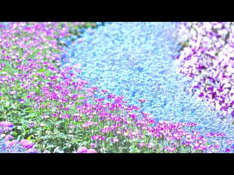 ﾋｰﾘﾝｸﾞﾐｭｰｼﾞｯｸ ピアノ　音楽の魔法 reset 根源を開花#2 沖縄