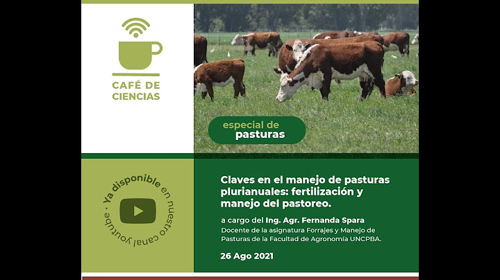 Café de Ciencias  - 26/08/2021 - “Claves en el manejo de pasturas plurianuales...”