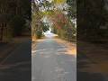 Beautiful Nature #shorts #ytshorts #viral