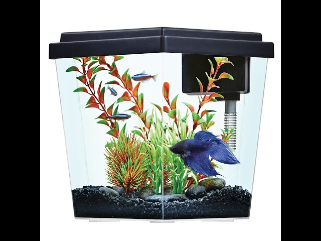 Top Fin #Aquarium Fish Tank Essentials Starter Kit Setup