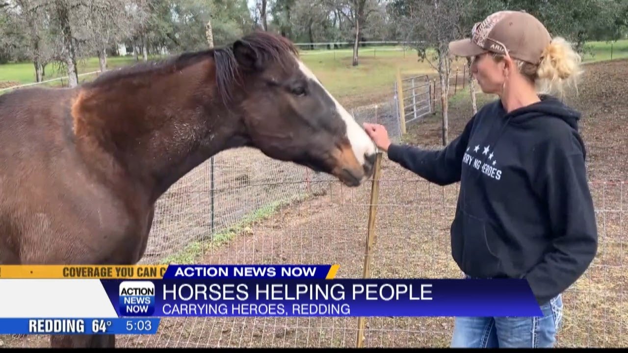 Rescued horses helping rescue people through Carrying Heroes nonprofit ...