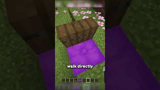 THEY ADDED SITTING TO MINECRAFT...