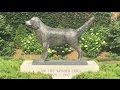 TDW 1469 - Town Honors Psychic Dog