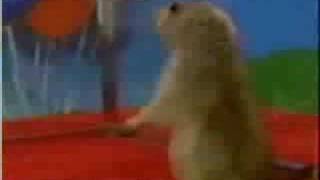 Dramatic Chipmunk