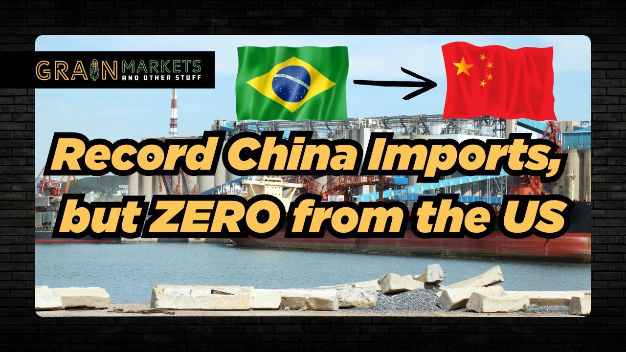China Imports a Record Amount of Soybeans, but NONE from the US