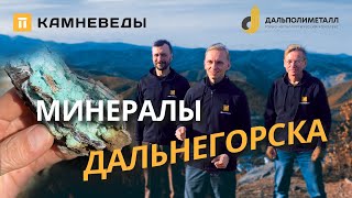 картинка: МИНЕРАЛЫ ДАЛЬНЕГОРСКА