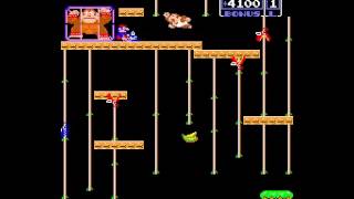 Donkey Kong Junior (US) - Donkey Kong Junior (US) (Arcade / MAME) Playthrough - User video