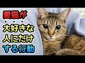 【解説】あなた愛されてます!猫が好きな人にする行動