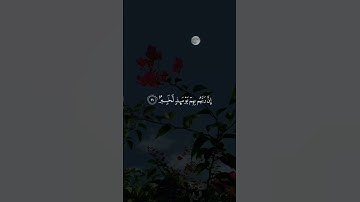 تلاوة هادئة تريح الأعصاب 😴🎧 القارئ: اسلام صبحى سوره: العاديات 💙❤