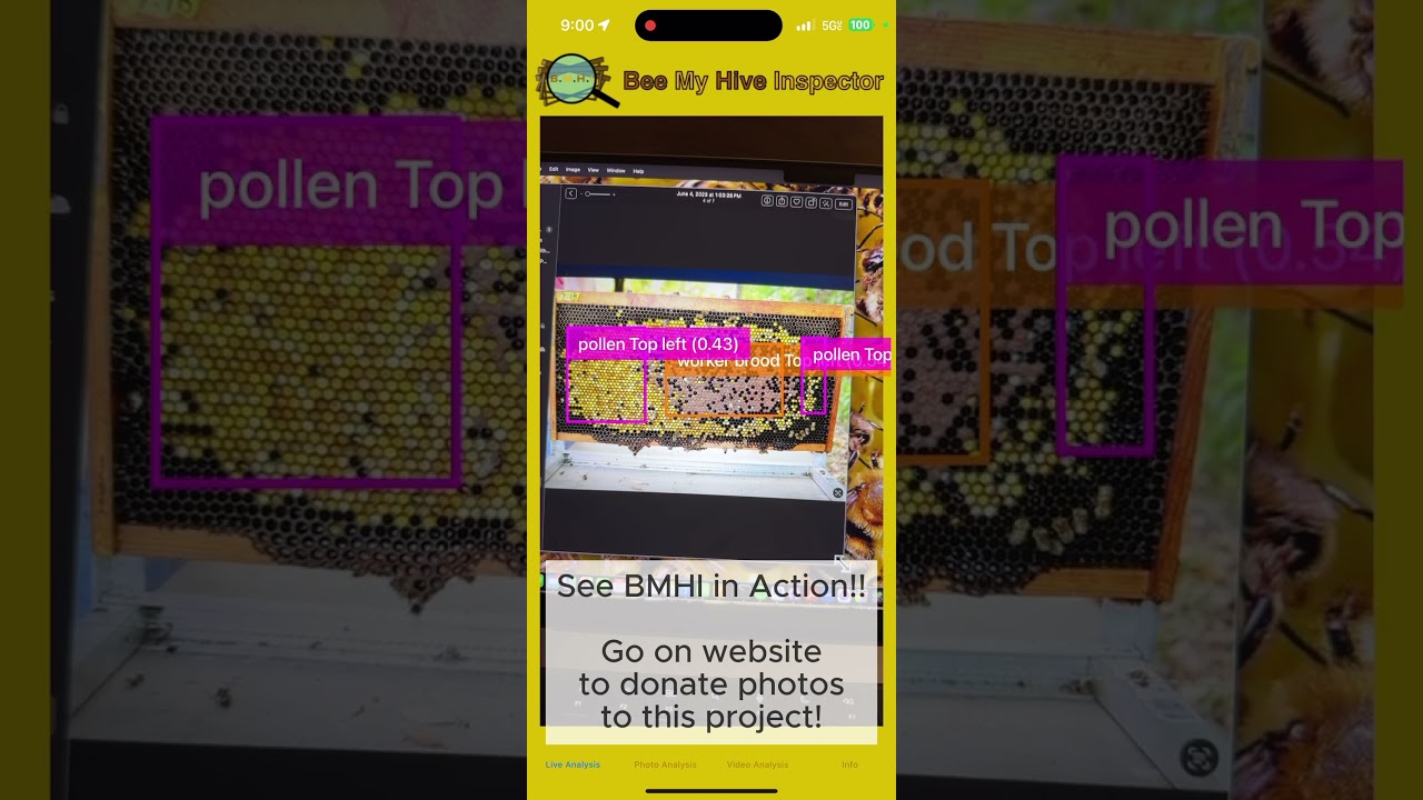 Bee My Hive inspector in action! 