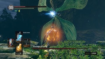 Task failed successfully - DARK SOULS: REMASTERED