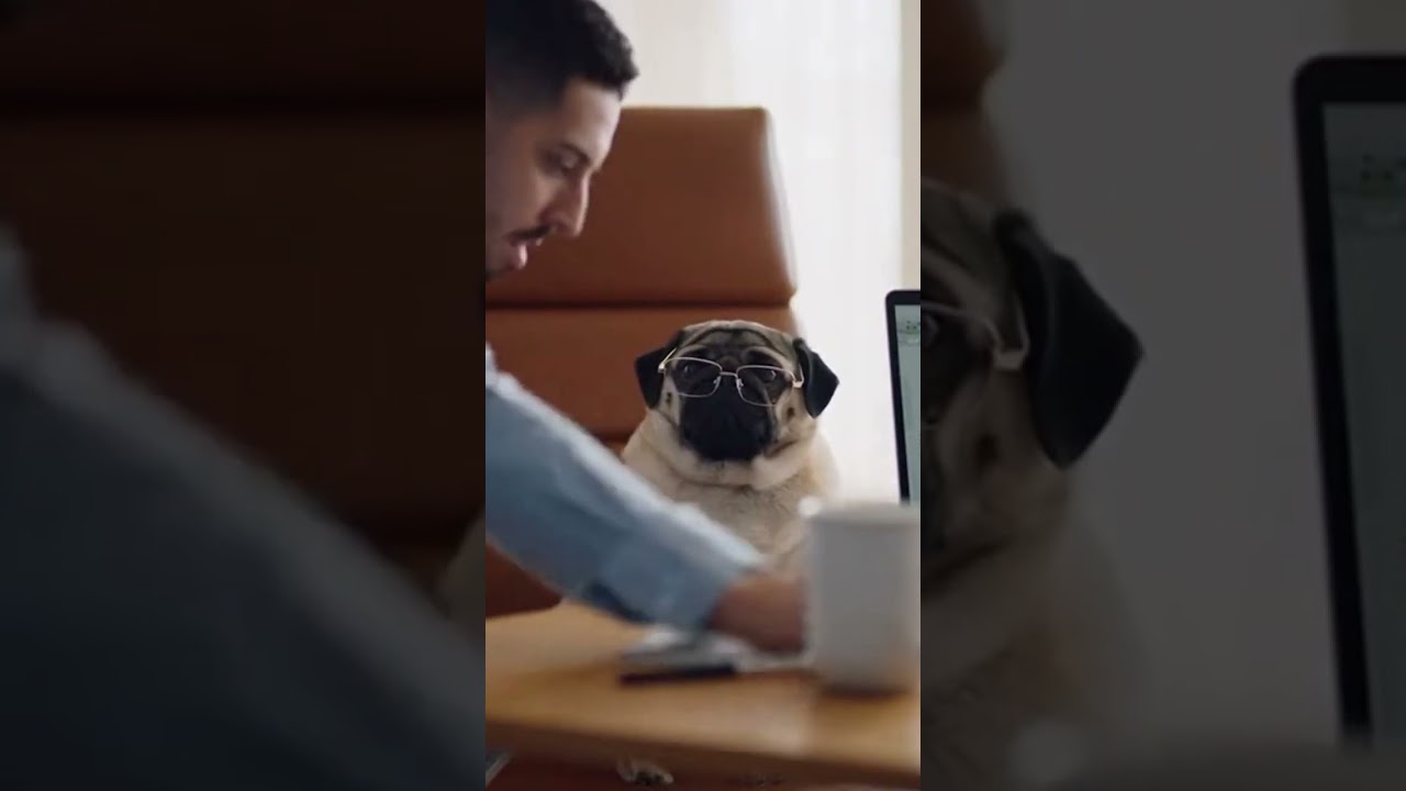 When Your Dog Thinks He Can Do Your Job Better! 🐶💻