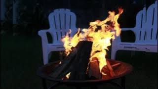 THE GROWLERS - SOMEDAY (DEMO)