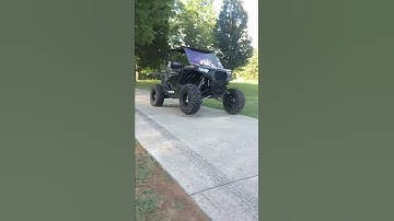 RZR Wheelie