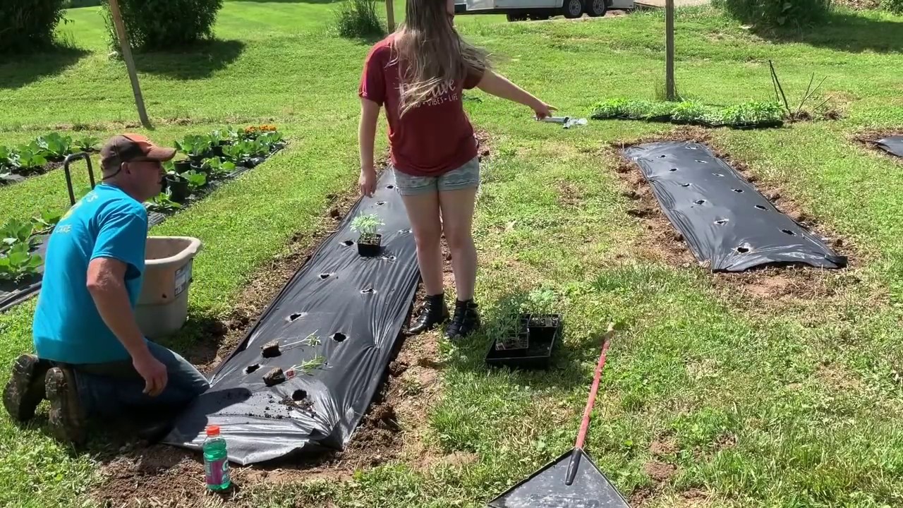 Progress On Our 7000 Square Foot Garden!