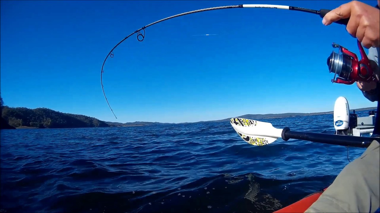 shimano catana 702 estuary fishing rod Baitcaster Rods Tackle World the Shimano Catana FE Spinning Reels are the perfect choice for the angler on a budget Sunday Gear Review:, The Catana