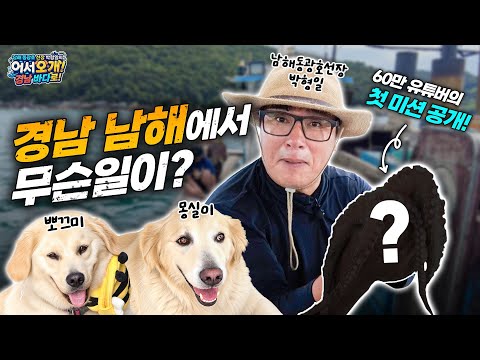 First Mission!, Catch the Namhae Rock Octopus | Captain Park Hyung-il of the Namhae Donggwang-ho'...