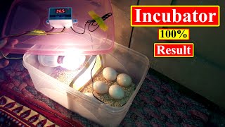 DIY Homemade Incubator | Chicks Hatching in Plastic Container Incubator | How to make incubator