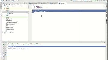 Flutter 8  -  Class Constructors