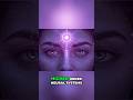 Third Eye Chakra &amp; the Brain: How Cognitive Stress Affects Awareness