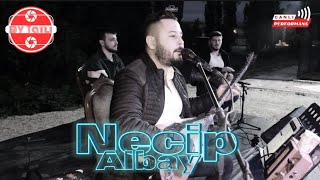 Necip Albay / İstanbul’a Ismarladım - 2023 CANLI PERFORMANS #tiktok #trending #necipalbay Resimi