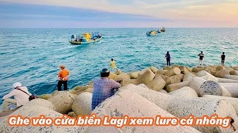 Ghe Vào Cửa Biển La Gi Xem Câu Lure Cá Nhồng